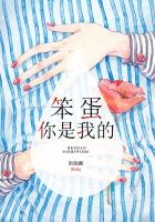 笨蛋你是我老婆