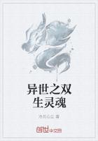 异世之双生灵魂